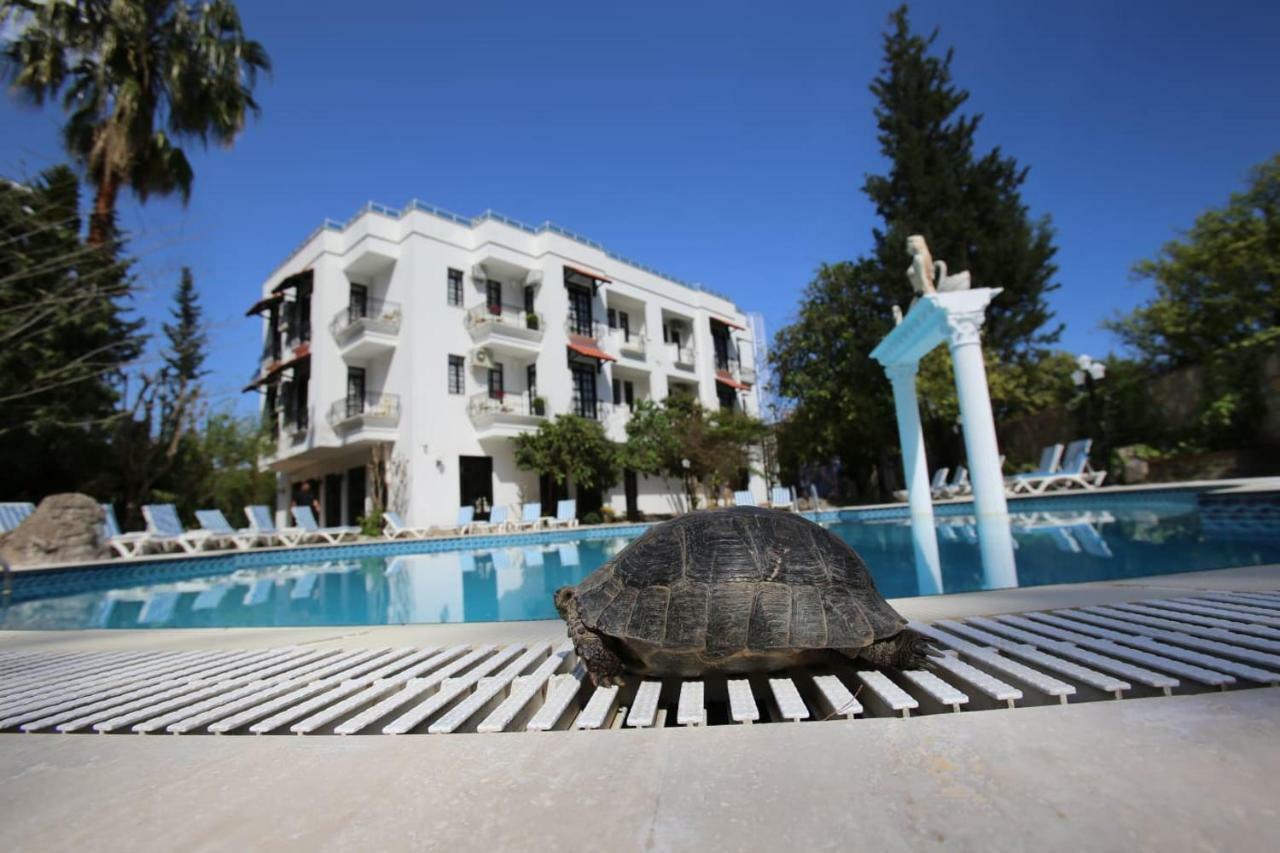 Green Valley Hotel Kemer Exteriör bild